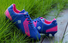 A pair of blue and red shoes on grass

Description automatically generated with low confidence