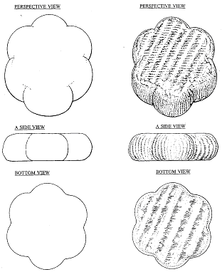cheese shape pictures