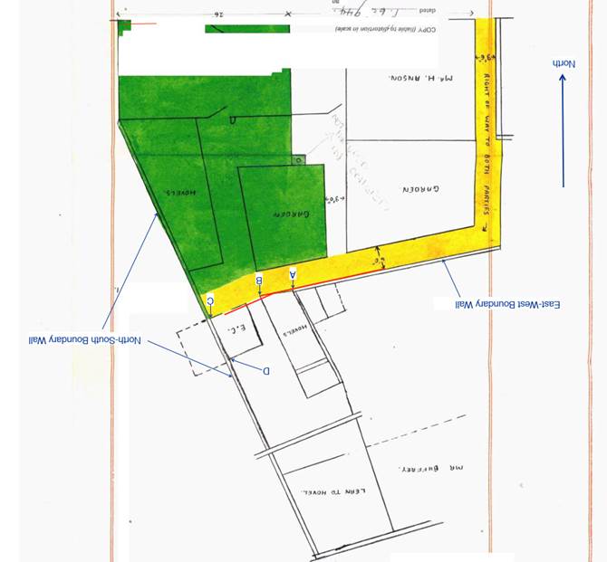 A green and yellow plan
AI-generated content may be incorrect.