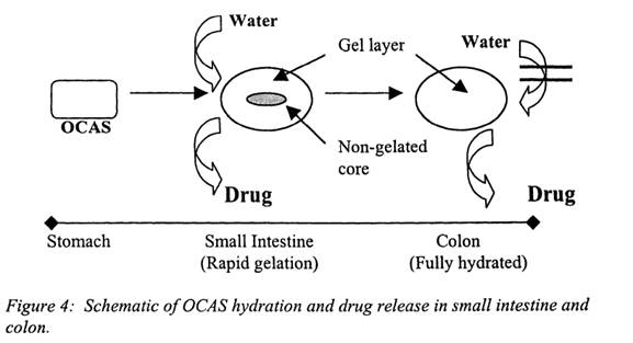 A diagram of a drug

Description automatically generated