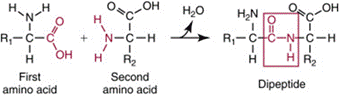 A chemical formula of a molecule

Description automatically generated with medium confidence