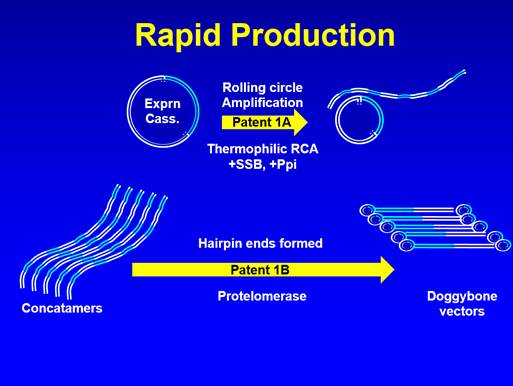 A diagram of a rapid production

Description automatically generated