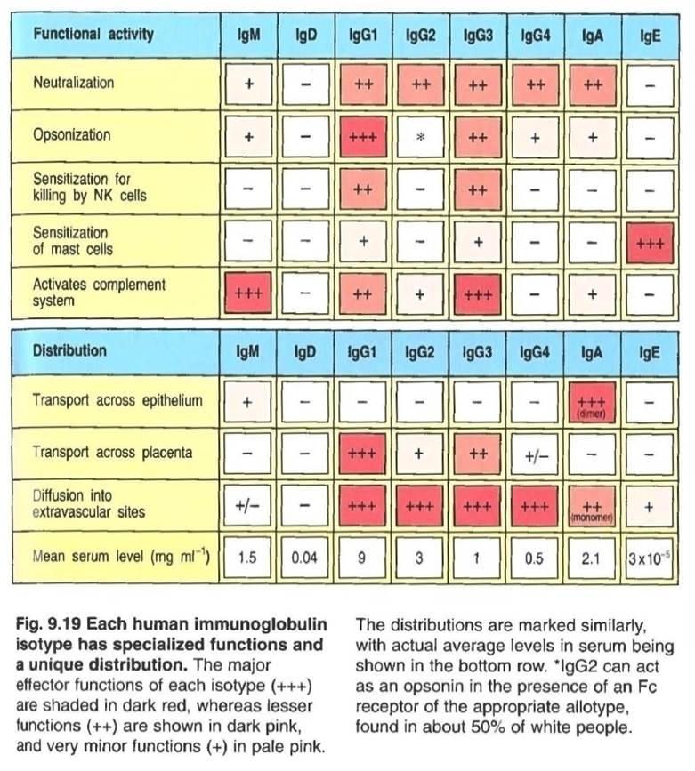 A chart of a test

AI-generated content may be incorrect.