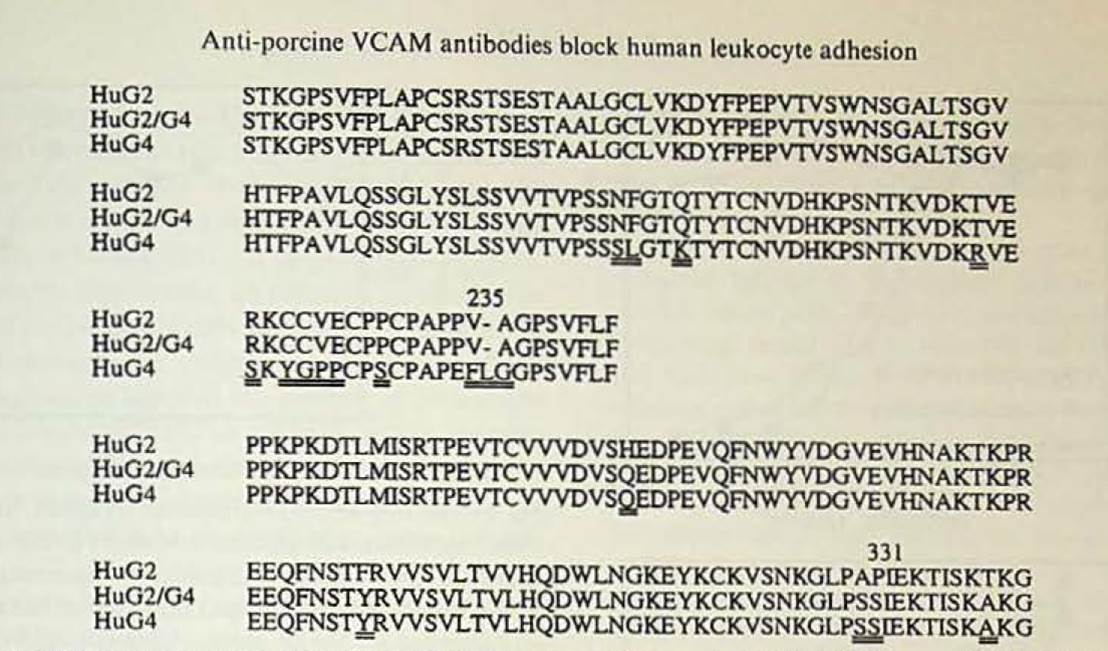 A close-up of a document

AI-generated content may be incorrect.