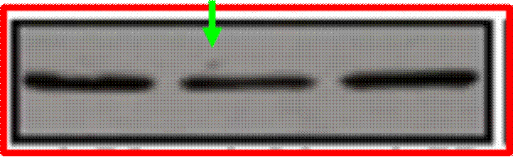 A green arrow pointing to a black line

Description automatically generated